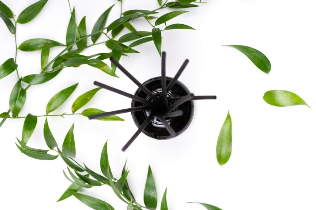 How Long Do Diffuser Reeds Last & Can You Reuse?